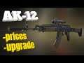 AK - 12 ➤ BATTLE PASS GUN IN MODERN STRIKE ONLINE  ➤ #gagauzstream #ak12mso #modernstrikeonline