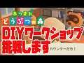 あつ森)DIYワークショップに挑戦します【あつまれ どうぶつの森】