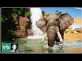 🐘 African Elephant indoor habitat | Speed Build | Planet Zoo | BETA |