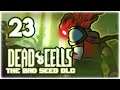 HOKUTO'S OWL! [4BC] | Let's Play Dead Cells: Bad Seed DLC | Part 23 | 2020 Update Gameplay
