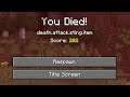 Minecraft's Secret Death Message! (1.17)