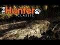 The Hunter Classic #11   Viele Spuren  The Hunter