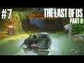 The Last Of Us Part 2 PS4 PRO Gameplay Walkthrough Part 7 (Full Game)