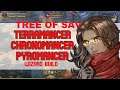 TOS BUILD - Terramancer Pyromancer Chronomancer