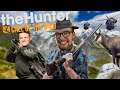 Wir jagen Gämsen und Truthähne!! | TheHunter Call of the Wild mit Boernel