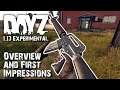 DayZ 1.13 First Impressions! New Rifle, Heavy Zombies, Infection Update, and more!