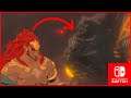 El VERDADERO ORIGEN de Ganondorf será REVELADO en la secuela de Zelda breath of the Wild (TEORÍA)
