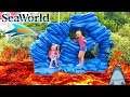 Floor is Lava at SeaWorld! Going Through a Tunnel of Sharks!!