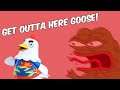 GET OUTTA HERE GOOSE! // Animal Crossing: New Horizons