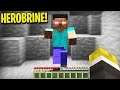HO VISTO HEROBRINE nel MIO MONDO! *AIUTO* | Minecraft ITA