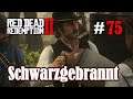 Let's Play Red Dead Redemption 2 #75: Schwarzgebrannt [Story] (Slow-, Long- & Roleplay)