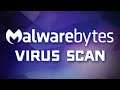 Malwarebytes Basics - How to Scan for Viruses & Other Malware