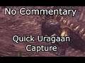 Monster Hunter World - Quick Uragaan Capture (No Commentary, Iceborne, Gunlance)