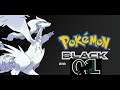 Pokemon Black | More random stuff OH! Bianca lost and death counts