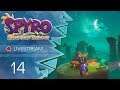 Spyro: Reignited Trilogy [Blind/Livestream] - #14 - Kreuz und quer laufen