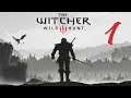 The Witcher 3: Wild Hunt | Directo#1 | Dificultad La Marcha de la Muerte