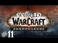 World of Warcraft: Shadowlands - Story Stream Mitschnitt #11 (Deutsch & Facecam)