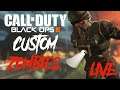 Call Of Duty Black Ops 3 - Custom Zombies (LIVE)