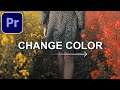 How to Change Color of Objects in Videos (Adobe Premiere Pro CC Tutorial)