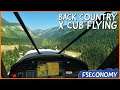 Back Country XCub Flying | Microsoft Flight Simulator | FSEconomy | Ep. 7