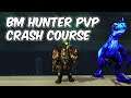 Beast Mastery Hunter PvP Crash Course - WoW BFA 8.2