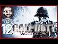 Call of Duty: World at War #12