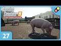 Farming Simulator 19 - Extension Alpine #27 On achète des cochons ! [FR]