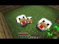 How to make the Chicken farm - Minecraft