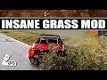 Insane Grass Mod for Asseto Corsa