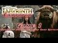 Labyrinth RPG Campaign Game 1