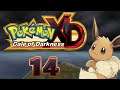 Pokemon XD Gale of Darkness Part 14: Catching All Wild Pokemon