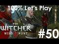 THE ROAD TO NOVIGRAD | The Witcher 3: Wild Hunt [Ep. 50]
