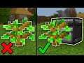This Makes Saplings 10x More Useful