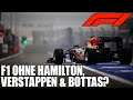 Wie sähe die F1 ohne Hamilton, Bottas & Verstappen aus? | Formel 1