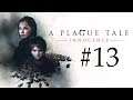 A Plague Tale Innocence #13 Seuche