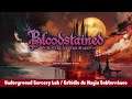 Bloodstained Ritual of The Night - Underground Sorcery Lab / Estúdio de Magia Subterrâneo - 52