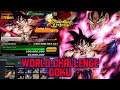Dragonball Legends New Event World Challenge Raid Vs Goku | DB Legends Goku Event