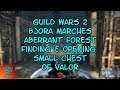Guild Wars 2 Bjora Marches Aberrant Forest Finding & Opening the Small Chest of Valor