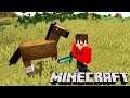 Minecraft: DUPLA SURVIVAL - MEU PRIMEIRO CAVALO SELVAGEM!!! #19