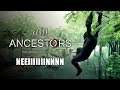 Neeiiiiiiinnnn 🐵 [S2E40] Ancestors The Humankind Odyssey | Deutsch