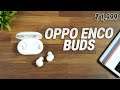 Oppo Enco Buds Review- A Good budget TWS