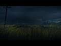 (Hitman) Windy Tall Grass With Distant Thunder