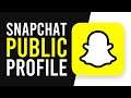 How To Get Snapchat PUBLIC Profile (IOS & Android) - *WORKING*