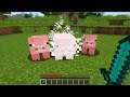 Minecraft: Every Mob Explodes
