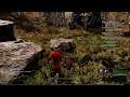 Testing New World Open Beta