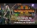 Total War: Warhammer II - The Twisted & The Twilight : Les Sœurs du Crépuscule