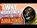 Why Morrowind is so GOOD!