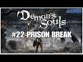 #22 Prison break, Demon's Souls, Playstation 5, gameplay, playthrough