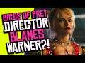 Birds of Prey Director BLAMES Warner Bros. for its Box Office FAILURE?!