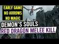 RED DRAGON Melee Kill & Dragon Loot Pile - DEMON'S SOULS